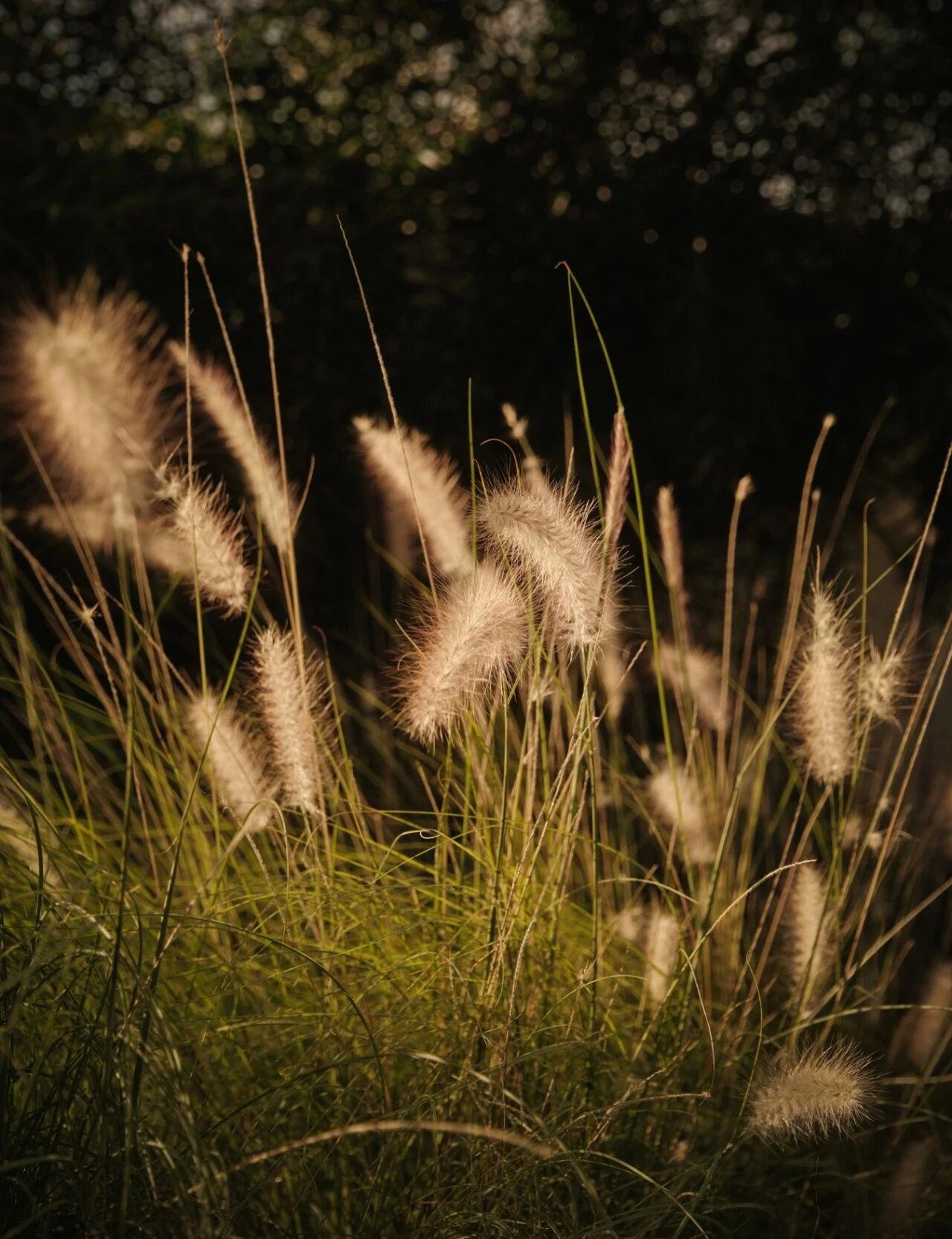 海耳咖啡馆丨中国泉州丨尚壹扬设计-36