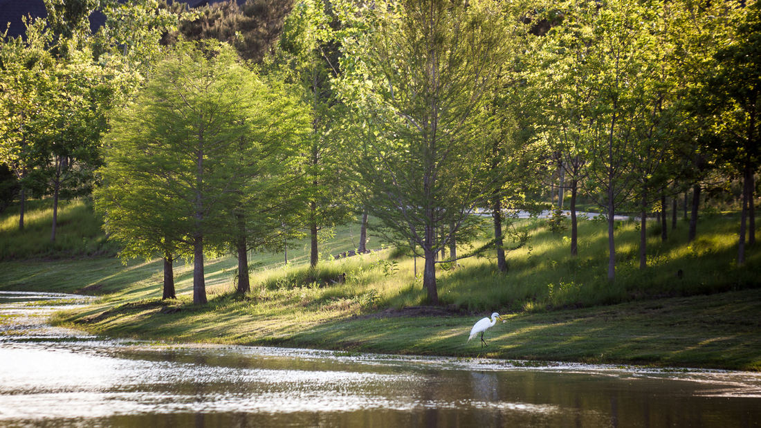 休斯顿克罗斯克里克牧场-27