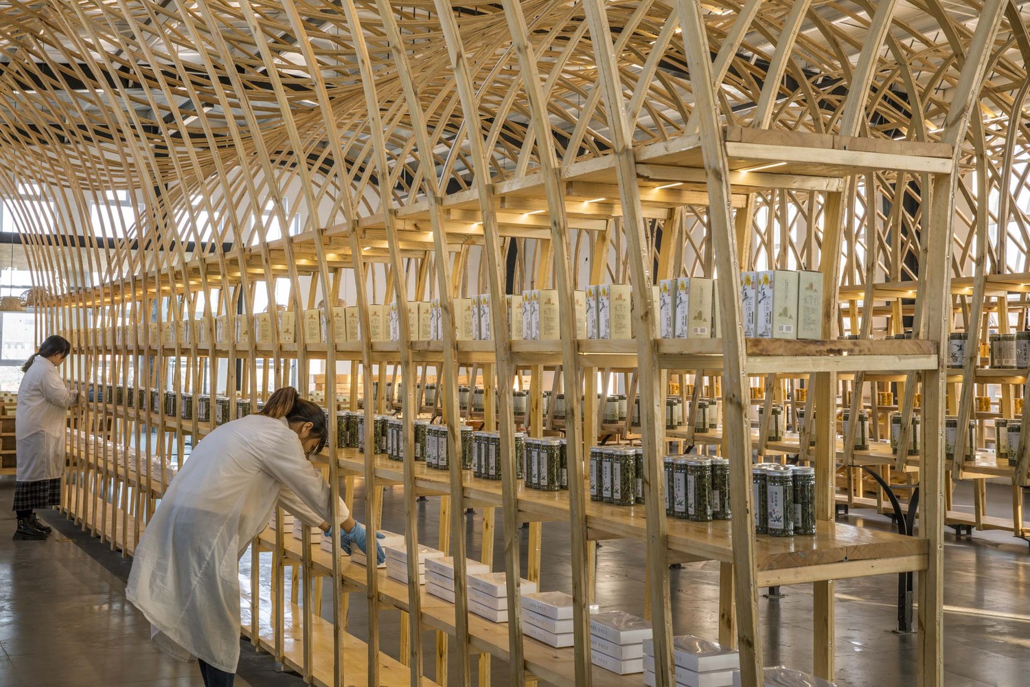 云台山冰菊展示架丨中国焦作丨LUO studio-20