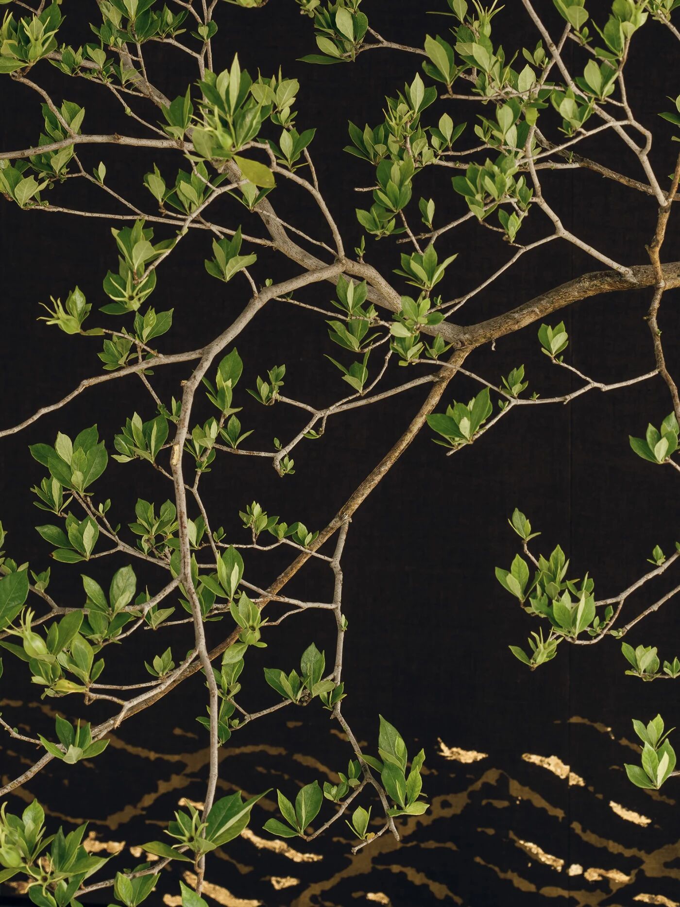 中式空间美学的天花板 —— 瑭所-14