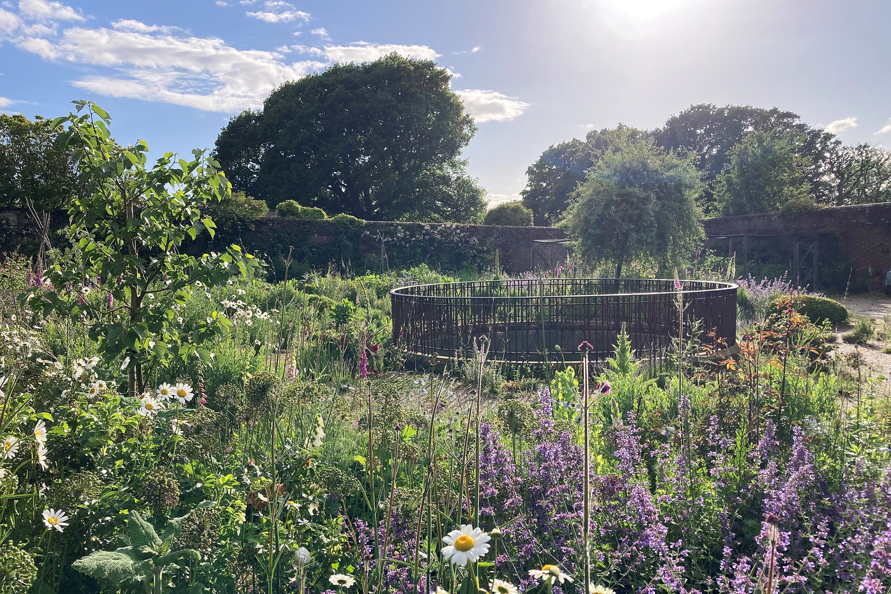 Knepp Castle Walled Garden-4
