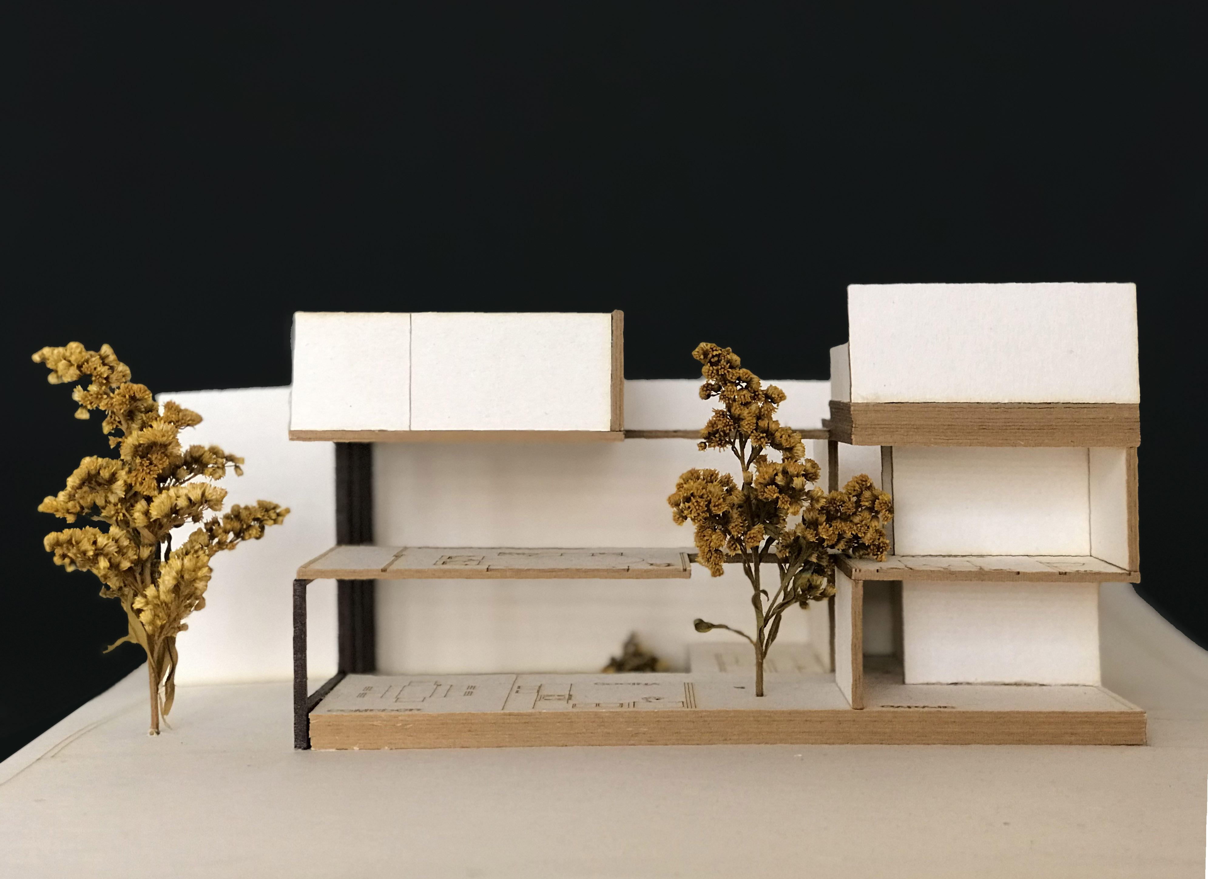 垂直住宅丨CF_Proyecto Habitar-7