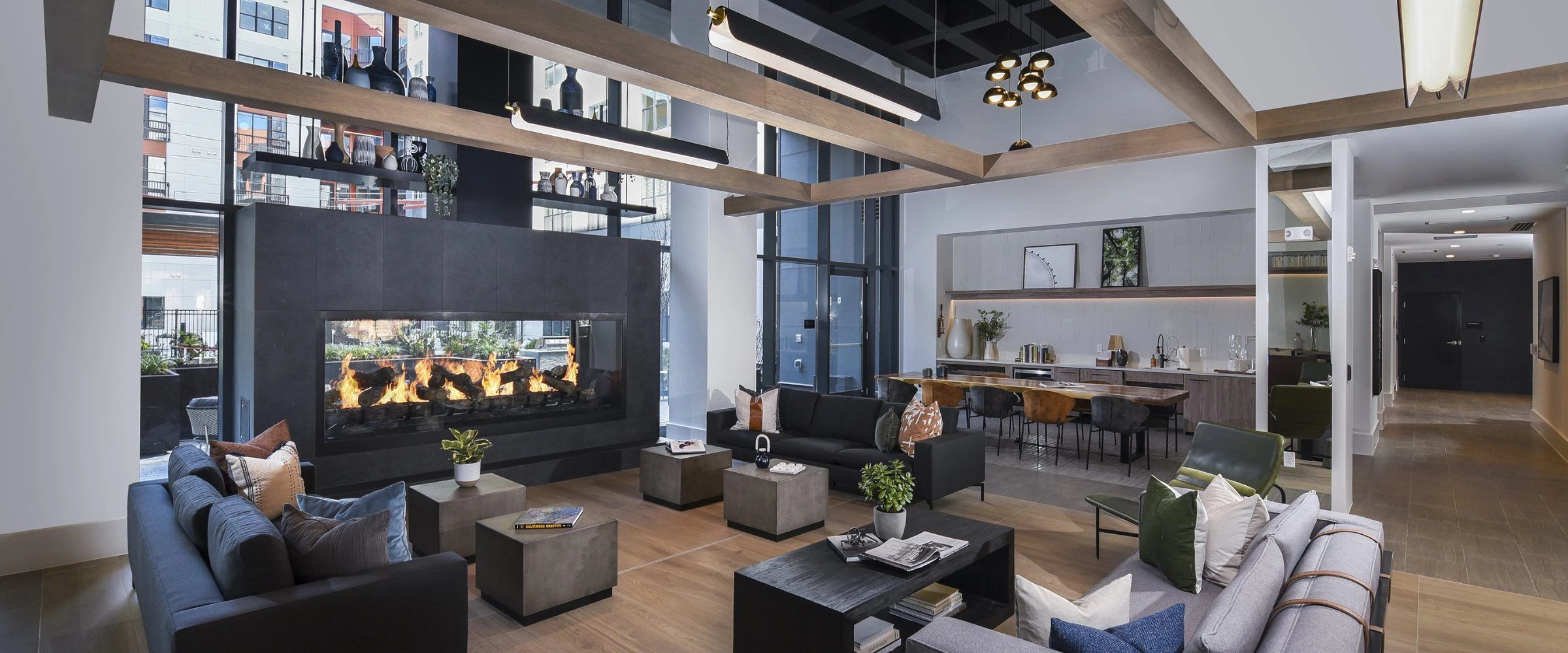 联邦山豪华公寓丨美国巴尔的摩-14