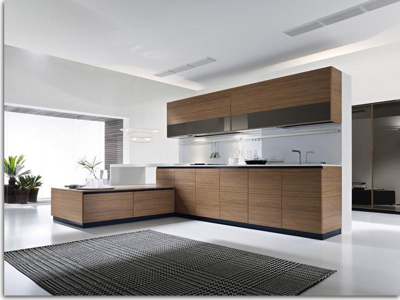 Contemporary Kitchen Cabinets For A Posh And sleek Finish-6