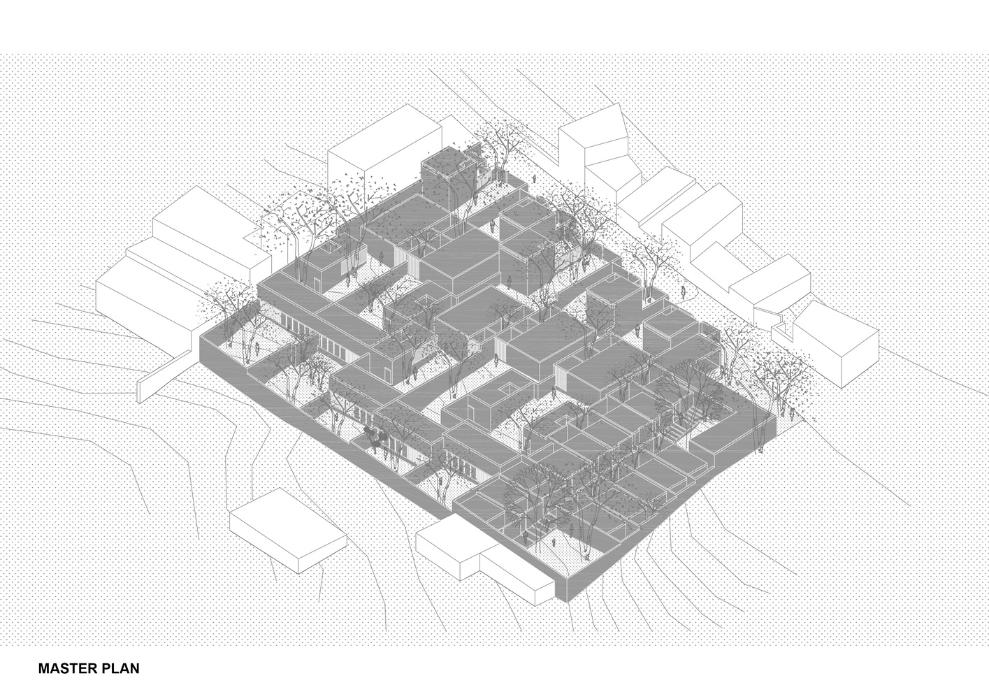 Pirules住宅丨墨西哥丨Escobedo Soliz-37