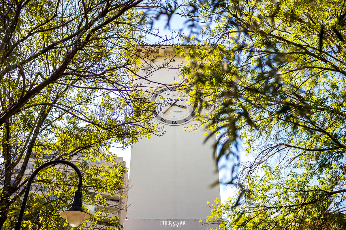 都市中的绿肺 · 林肯公园的艺术与自然-12