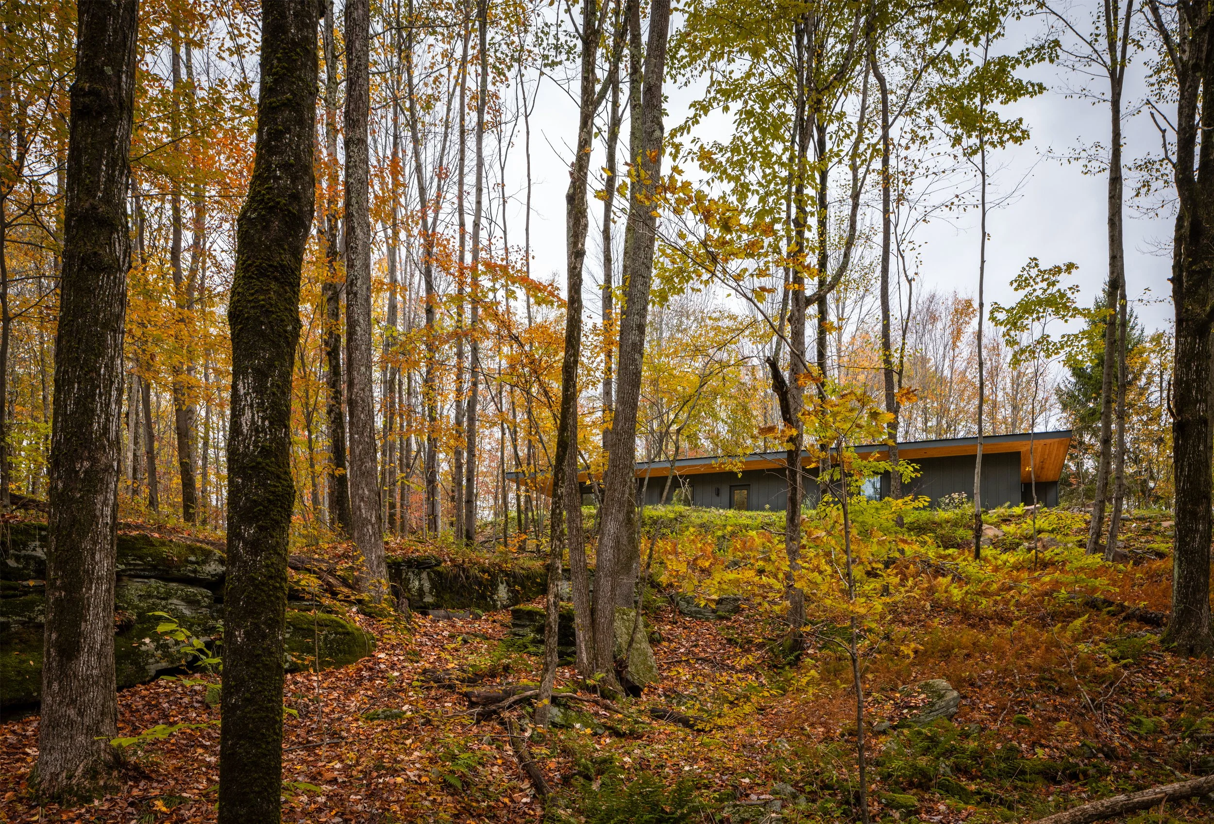 利文斯顿庄园住宅丨Marc Thorpe Design + Architecture-5