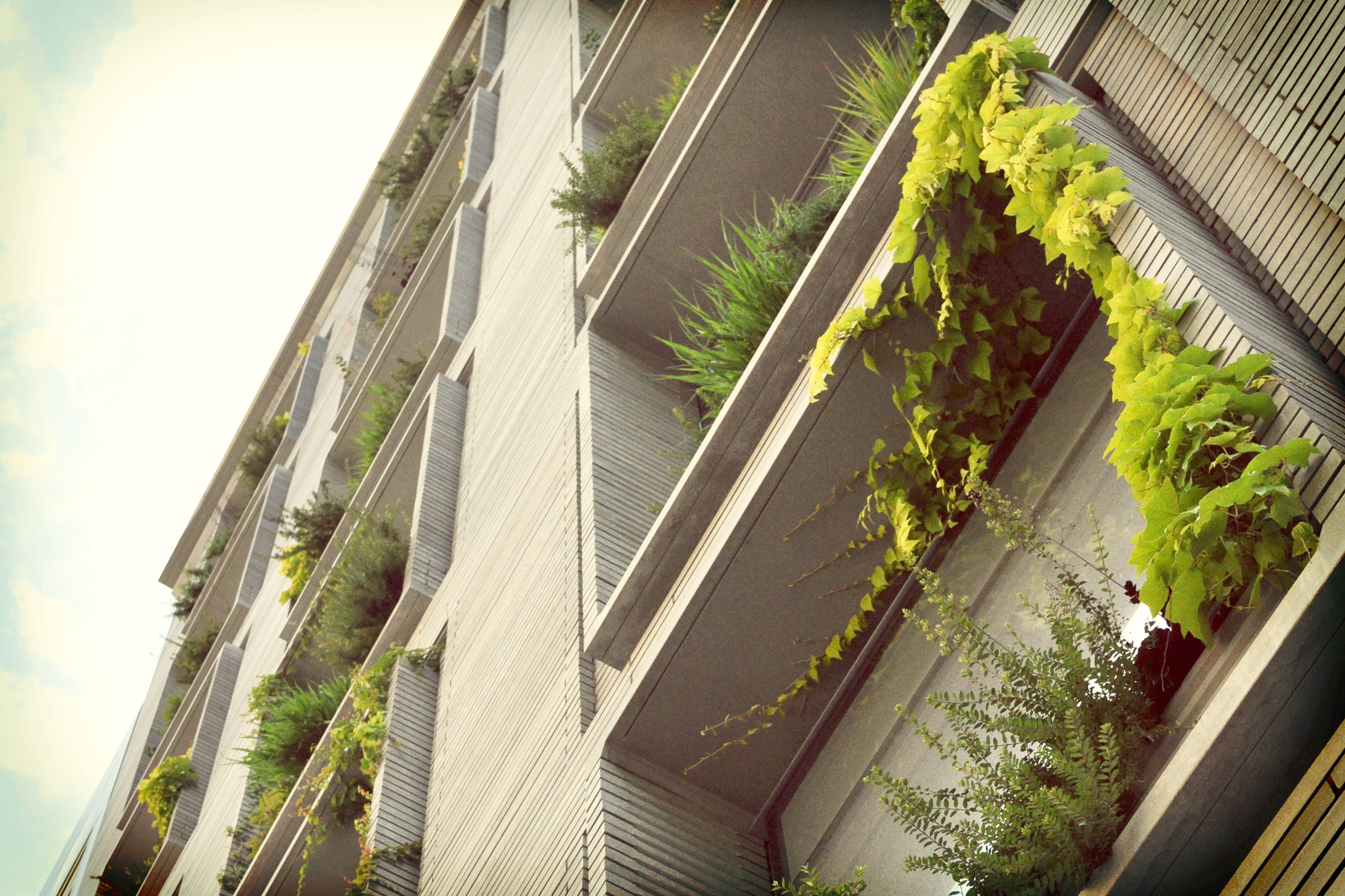 41 Bond | Future Green Studio-10