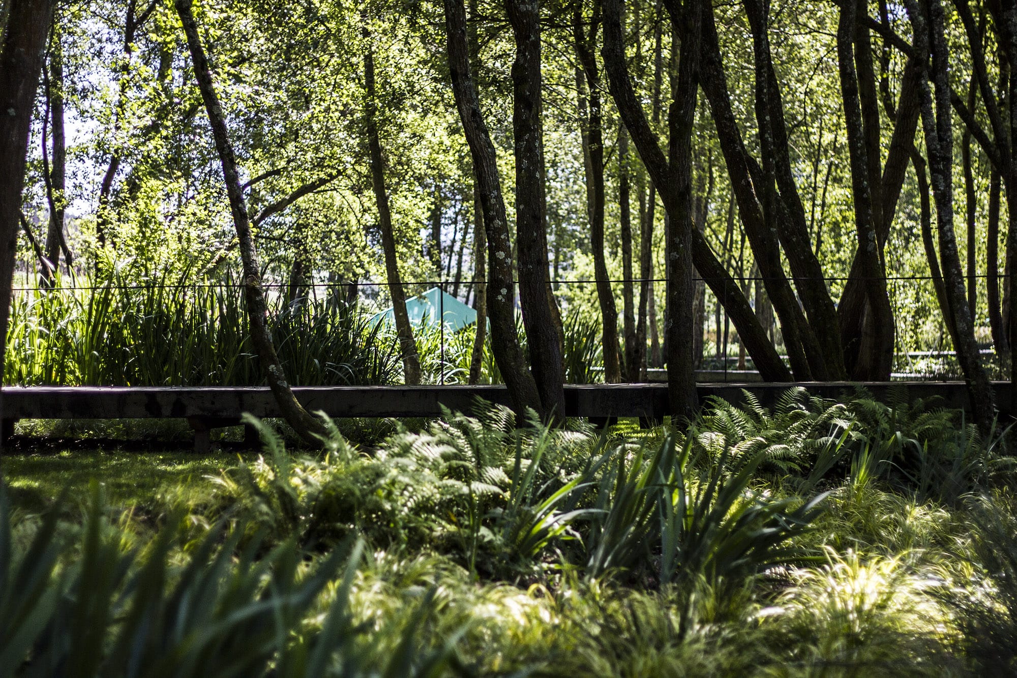 森林里的蓝色折纸公园丨葡萄牙波尔图丨Oh!Land studio-20