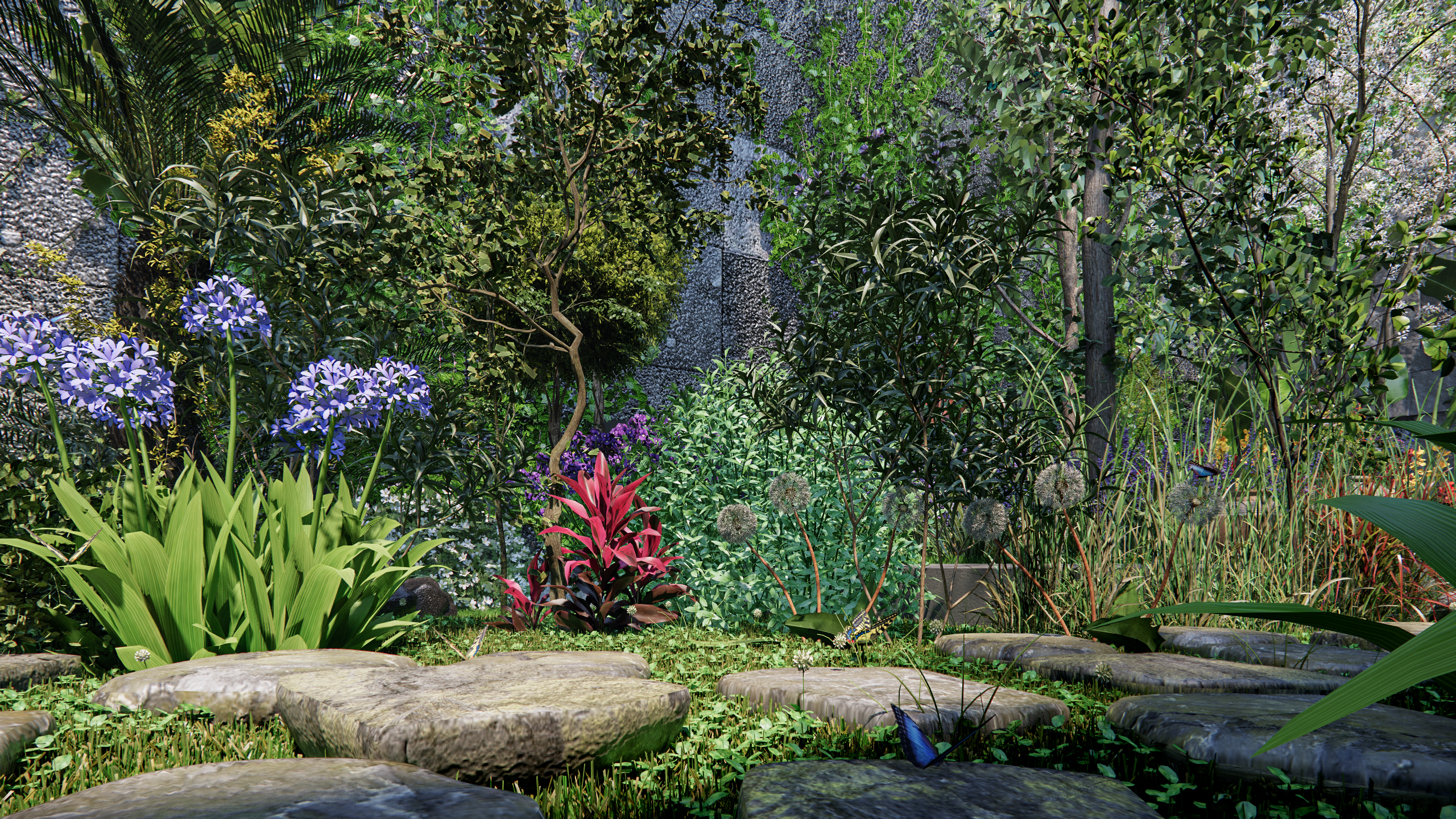 B a c k G a r d e n-5