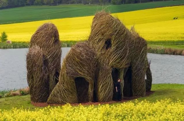 森林幻想家 | Patrick Dougherty 的树枝艺术-40