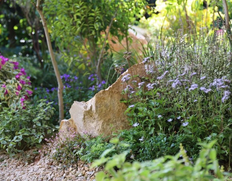 2021 深圳簕杜鹃花展·“共生”园丨中国深圳丨虹越花卉股份有限公司-35