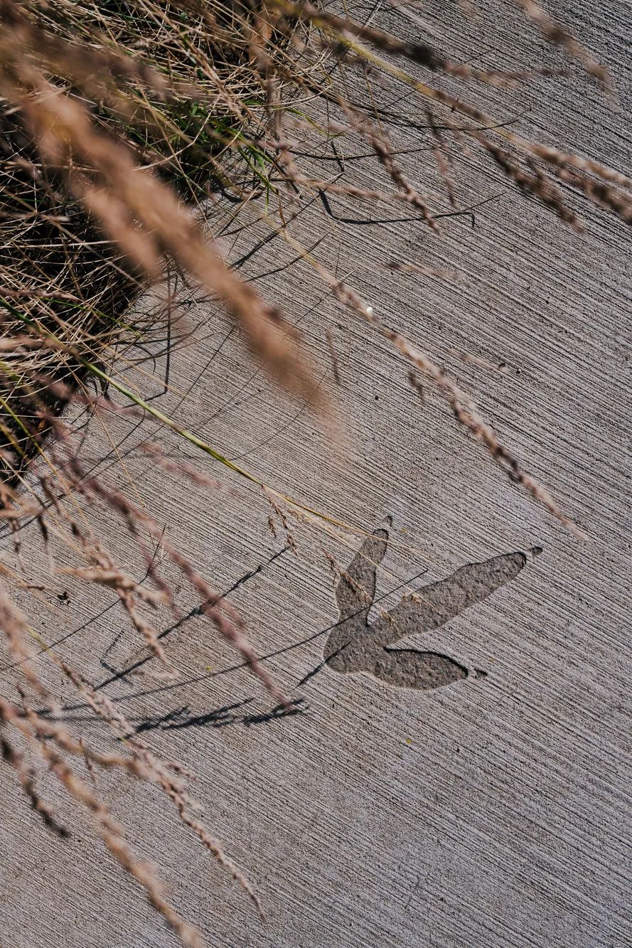 墨尔本及周边地区铁路平交道口移除改造项目（LXRP）丨澳大利亚墨尔本丨Hassell-23