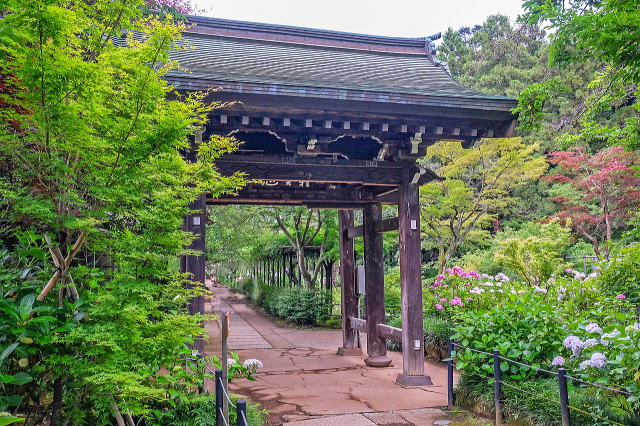 本土寺庭园等景观-33