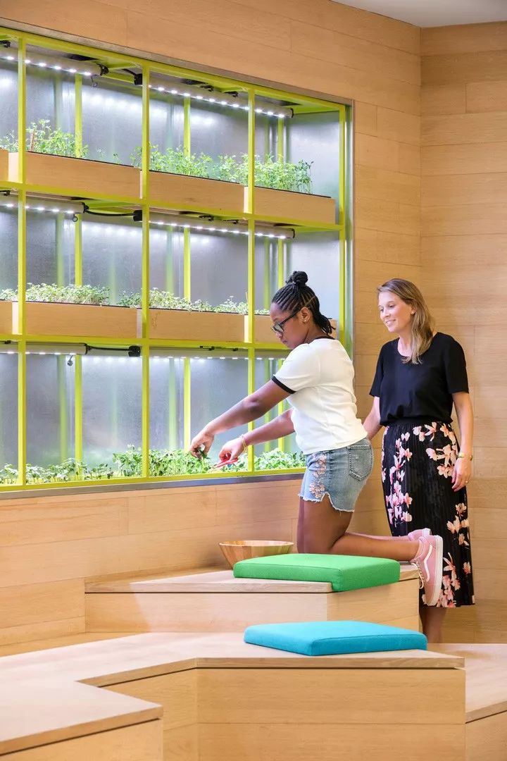 曼哈顿“蓝校”打造多彩学习空间-21