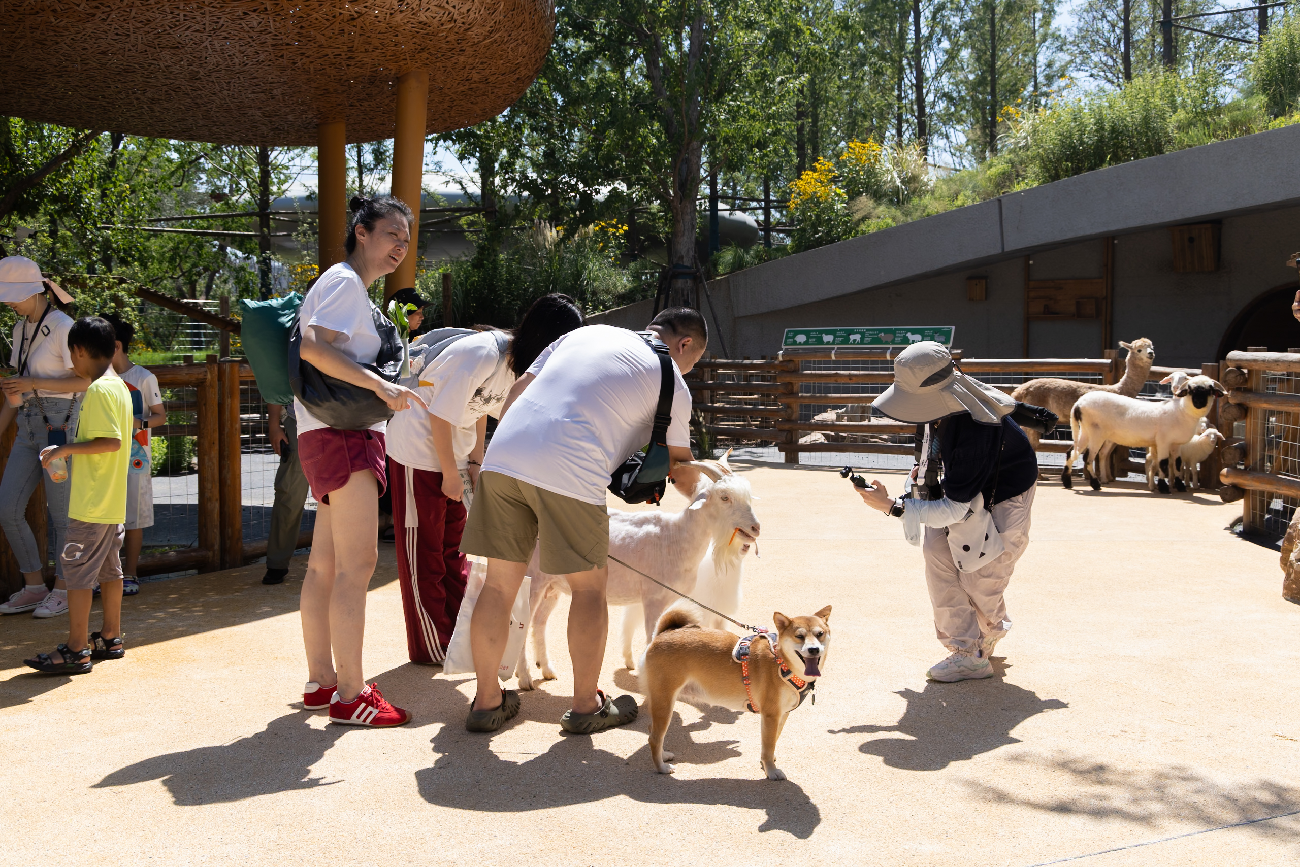 武汉麓客岛景观规划丨中国武汉丨WTD纬图设计-72