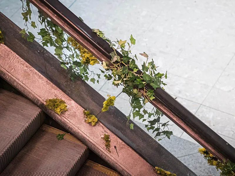 反乌托邦的恣意天堂 | 英国老旧购物中心的重生设计-22