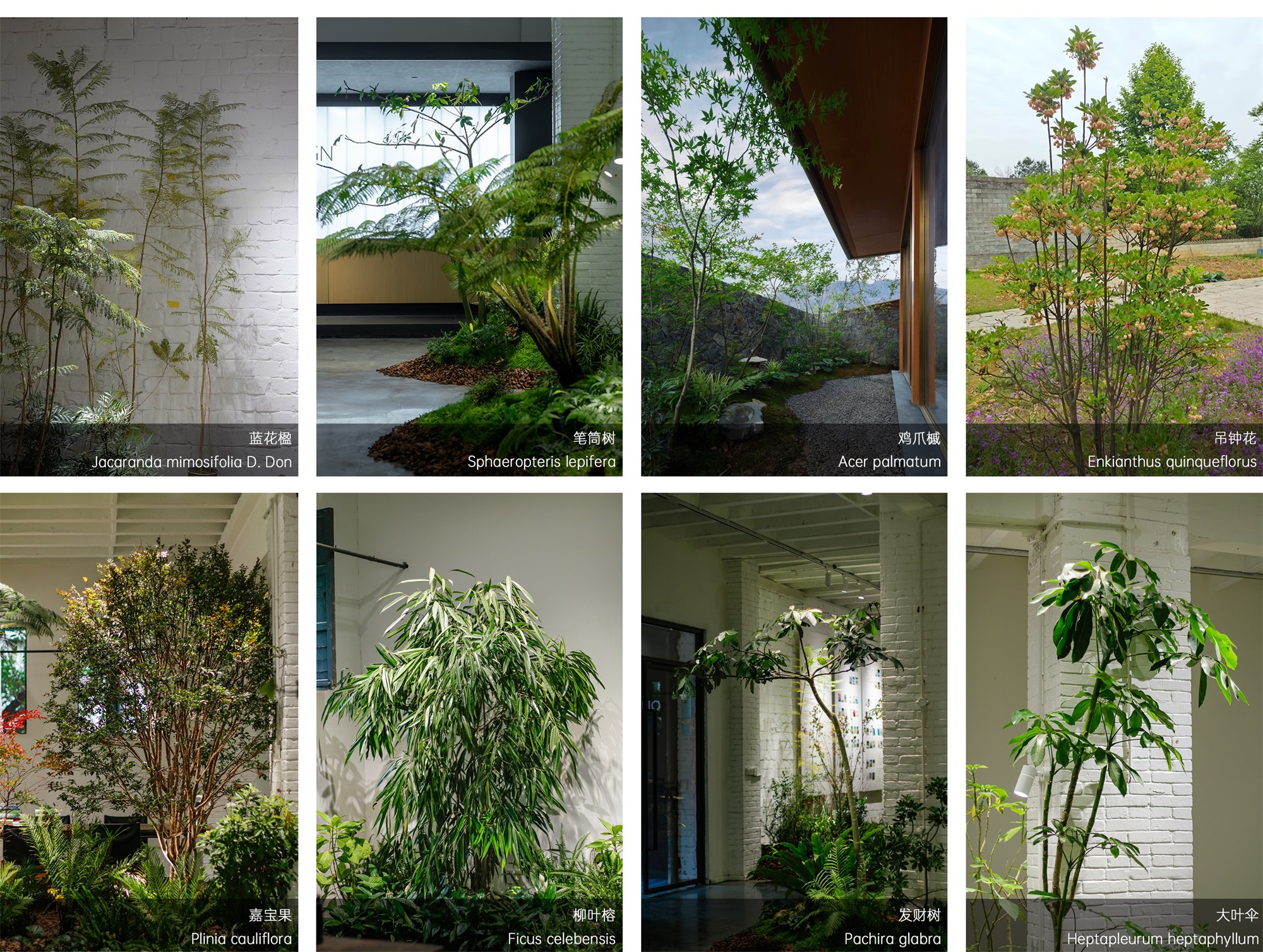 WE HOUSE 物候自然展厅丨我们在办公室造了一个植物园 / 物候设计-78