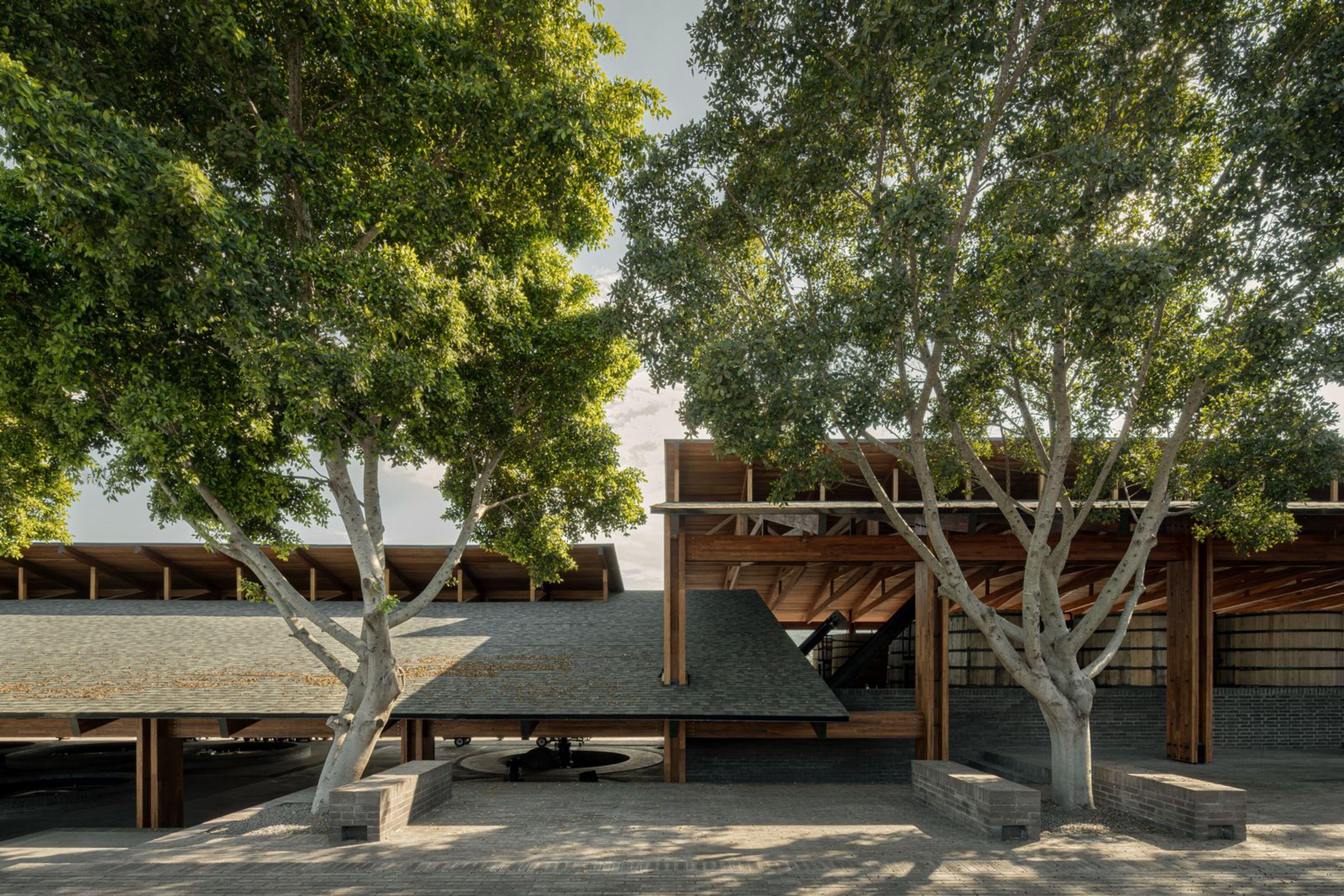 梅斯卡尔酒厂丨墨西哥丨Estudio ALA建筑工作室-8