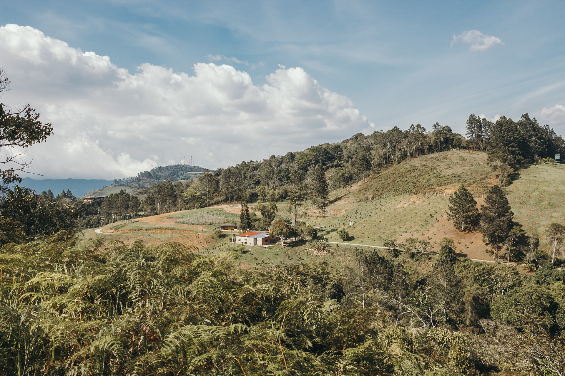 CMG 营地测绘丨委内瑞拉-33