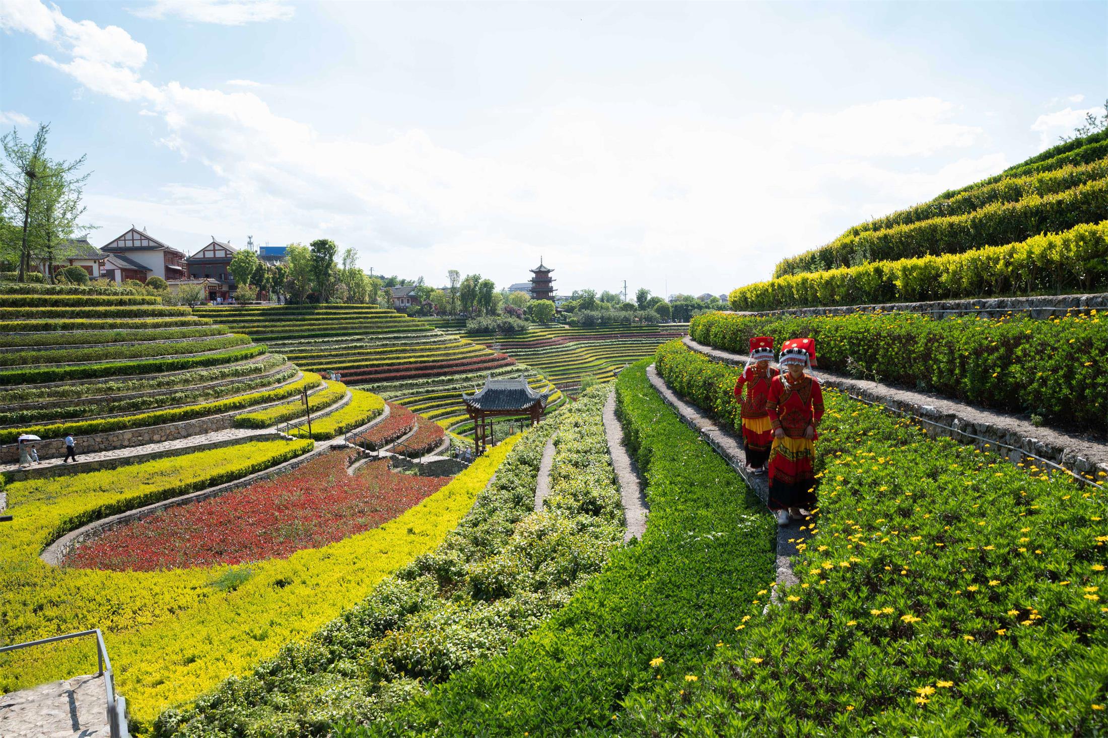 大地指纹 – 奢香古镇古彝梯田丨中国贵州-52