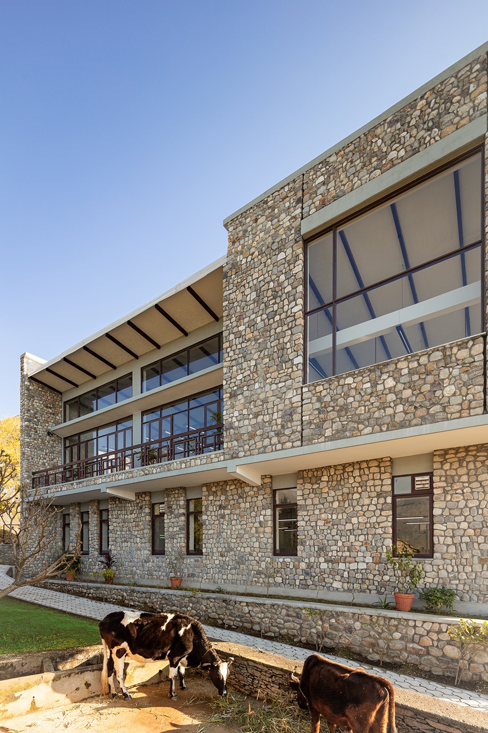 印度 Lodsi 社区项目丨Morphogenesis-14