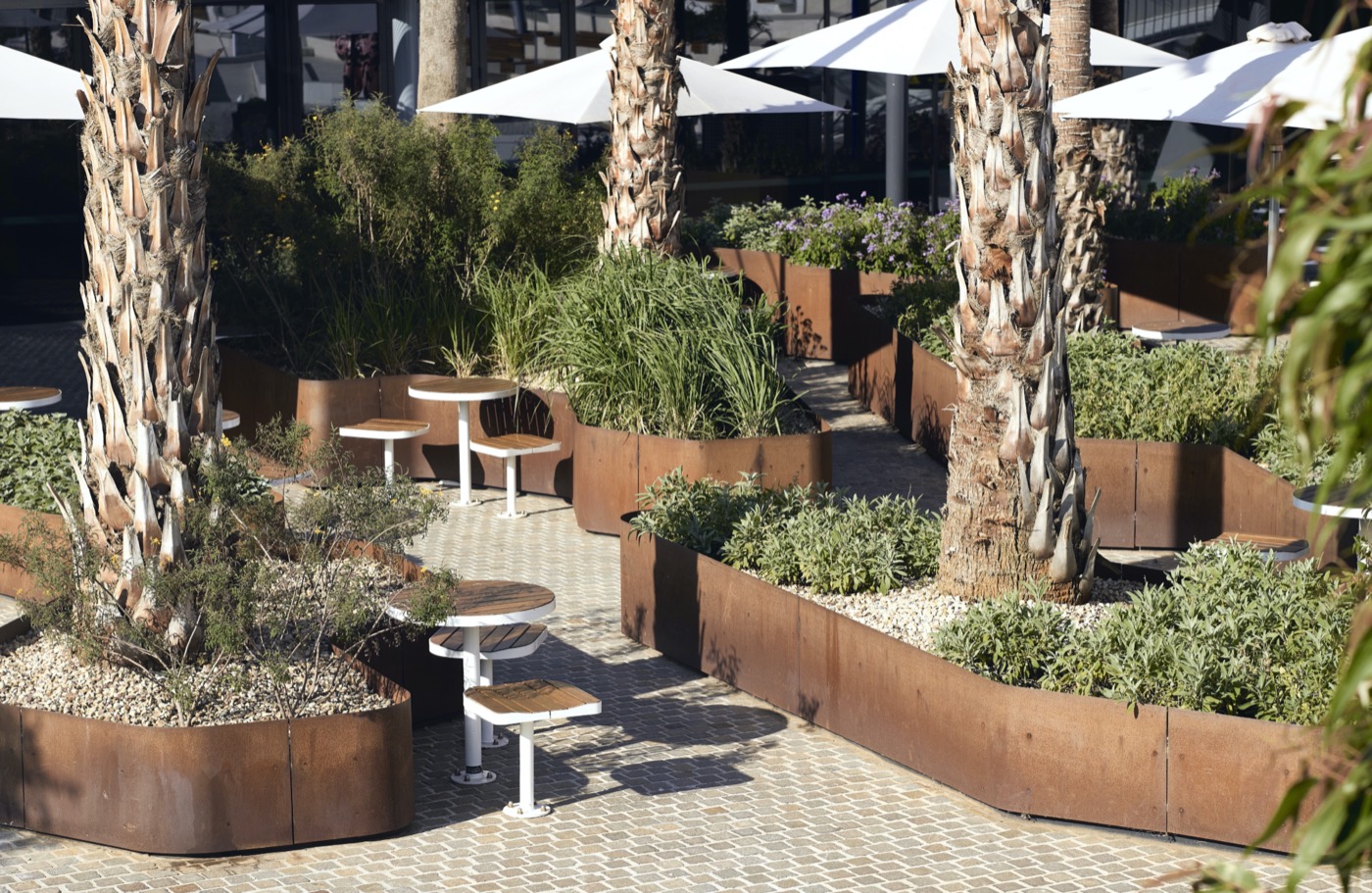 Prahran Square · 停车场变城市绿地丨澳大利亚丨ASPECT Studios,Lyons 等-26