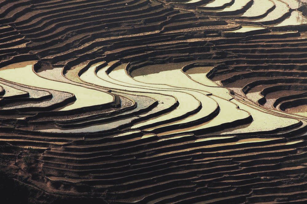 无锡西羲里 | 现代艺术与传统文化的完美融合-59