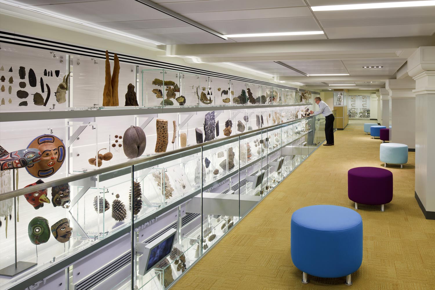 自然历史博物馆教育中心 | 互动式体验的设计亮点-8