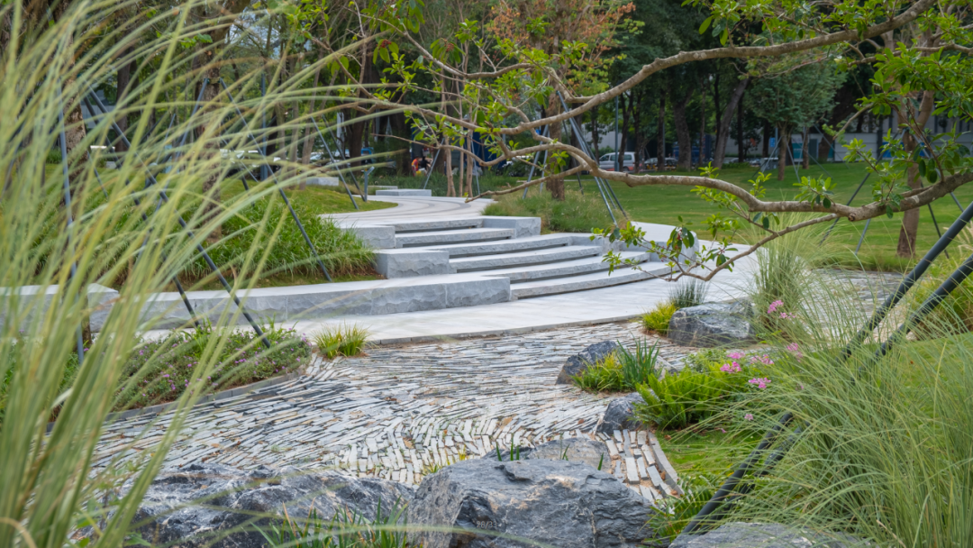 智见 · 云上 | 云之园 CLOUD PARK-162