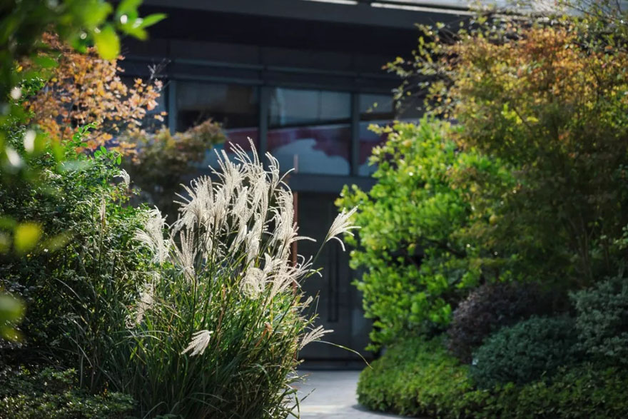 TODTOWN天荟·悦麓-83