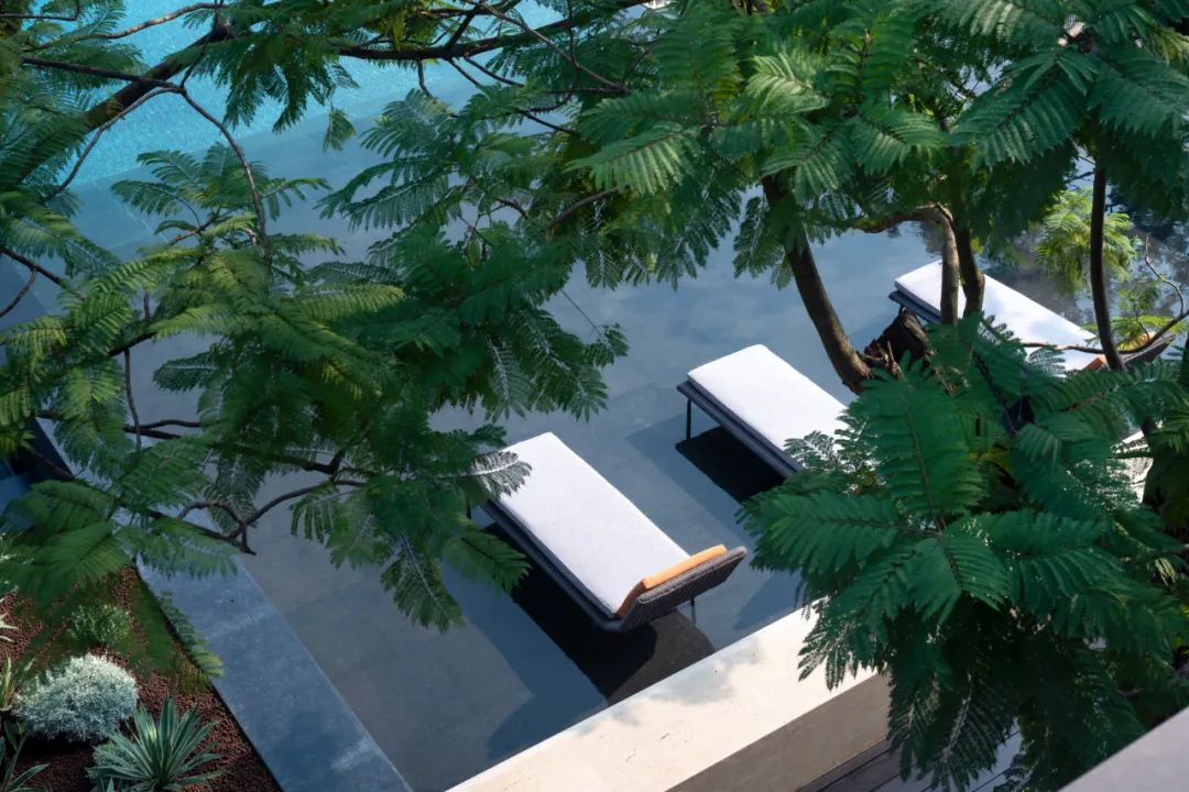 阳光城·天澜道11号丨中国重庆丨朗道国际设计-76