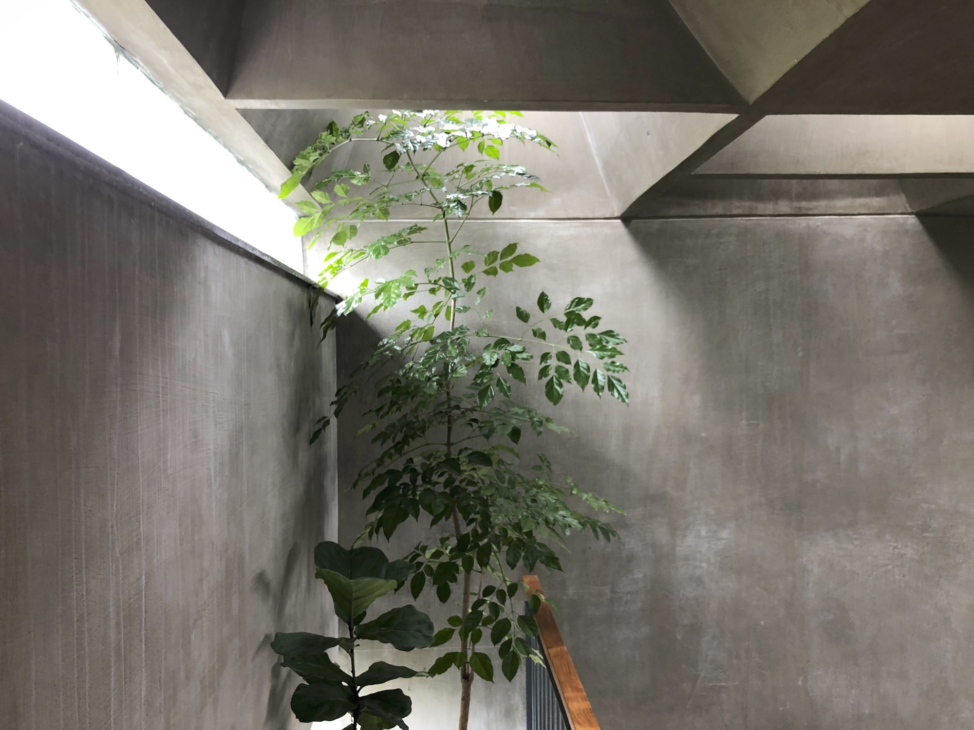 难以言喻的灯塔，一个门槛丨印度-21