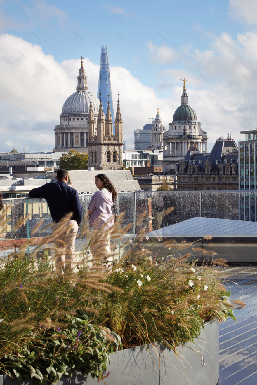 JJ Mack 大楼丨英国伦敦丨Lifschutz Davidson Sandilands-39