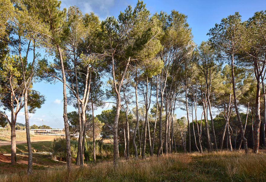 Matadepera球场观赛台,市政体育设施的支持性空间 / BAMMP Arquitectes-8