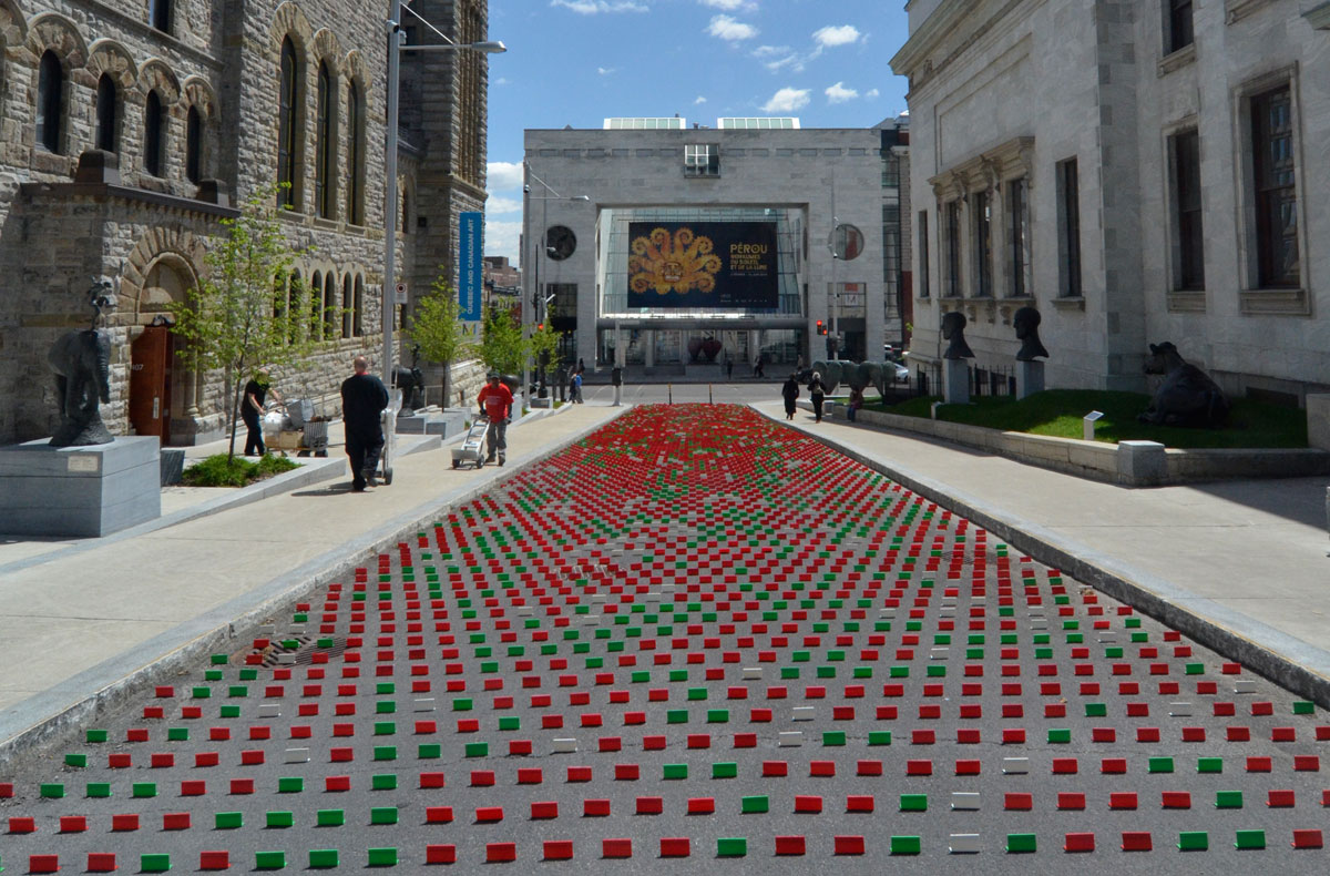 蒙特利尔街头的“向日葵田”丨加拿大蒙特利尔丨TOM II-9