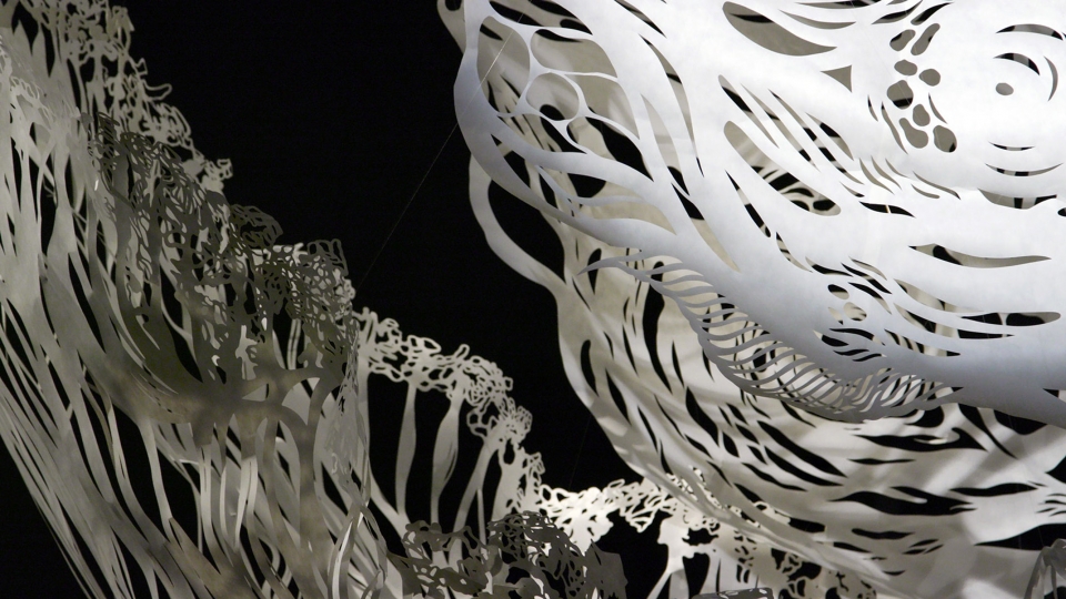 小岛奈保子 · 蓝鲸纸雕的震撼之美-11