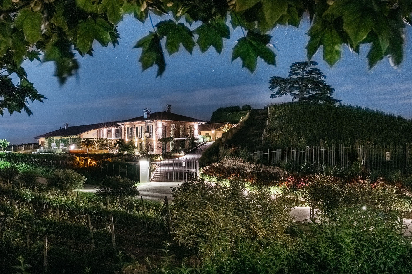 Agrisuite Il Cedro 酒店设计-24