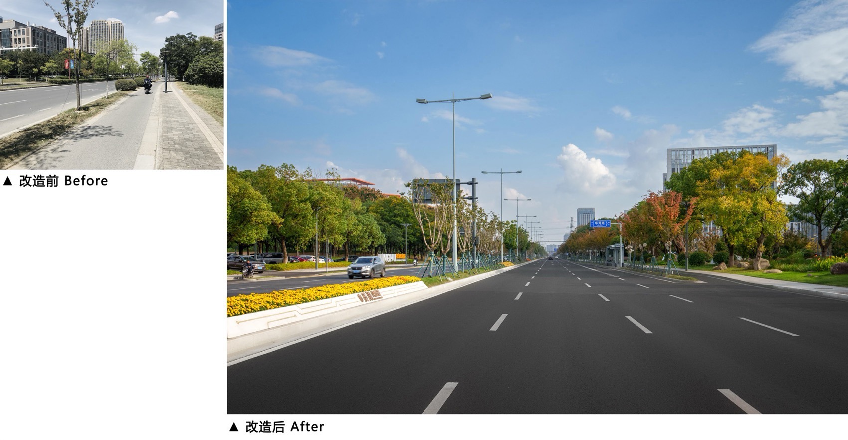 无锡菱湖大道沿线景观提升丨中国无锡丨MYP迈柏-37