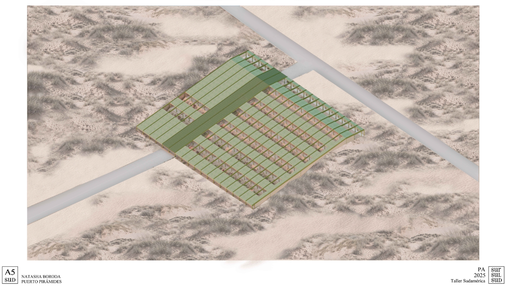 Puerto Pirámide | Centro de Investigacion-28