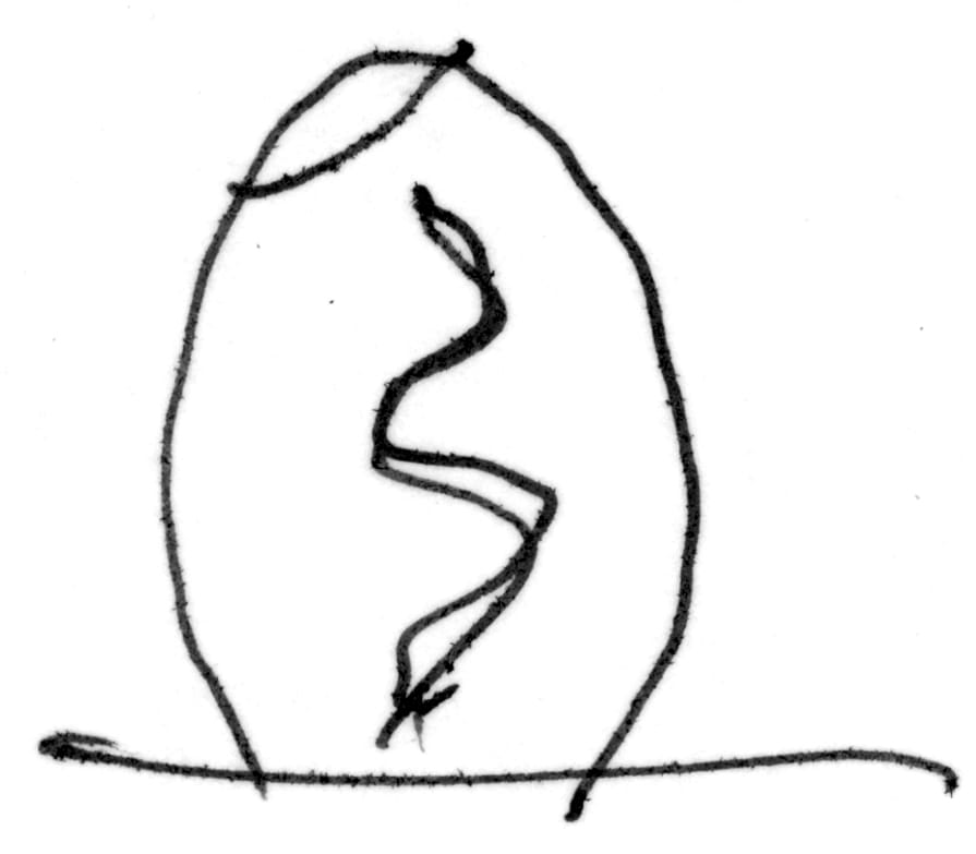 木质泡泡观景台-57