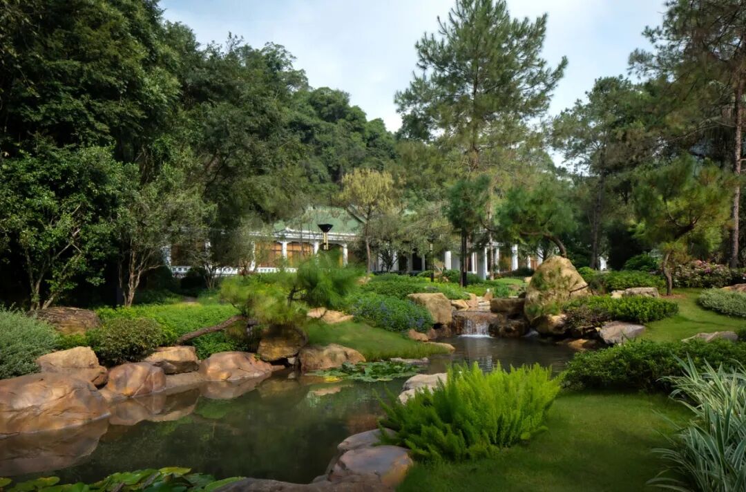 广东温泉宾馆松园一号户外园林景观改造工程丨中国广州-19