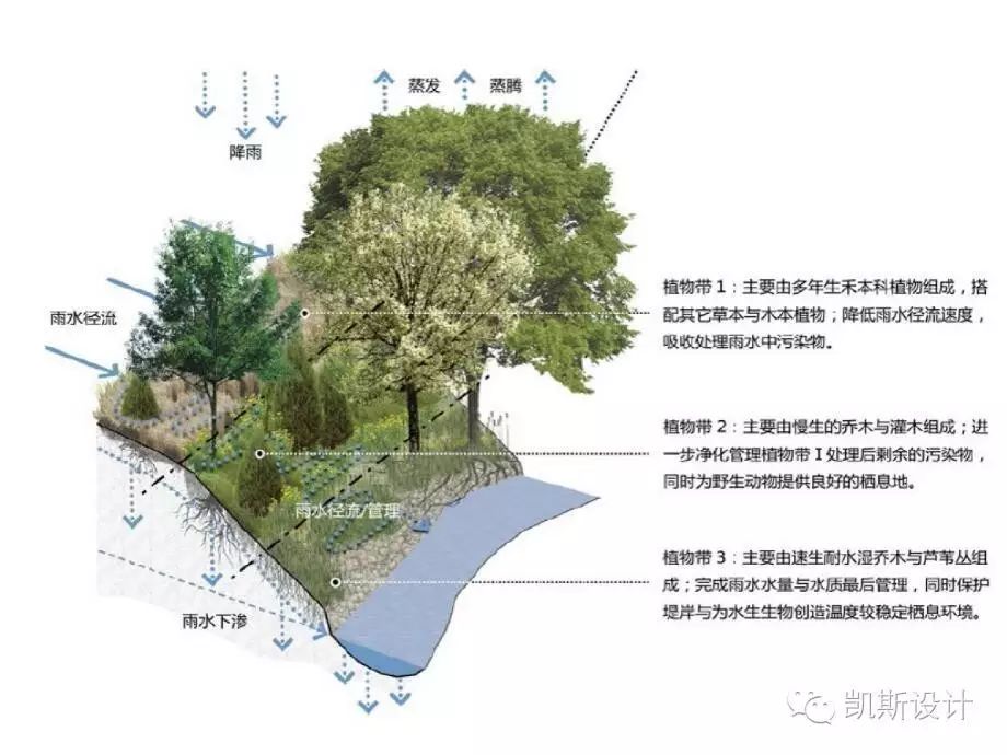 珠海万科城海绵社区示范设计，引领绿色宜居新时代-109