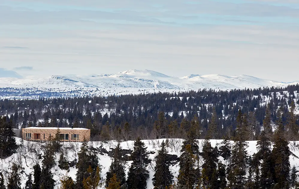 Skigard Hytte（挪威山中木屋）-8