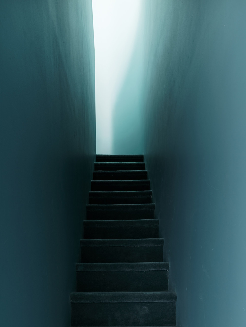 悉尼自然宁静住宅丨澳大利亚悉尼丨Adam Haddow-6