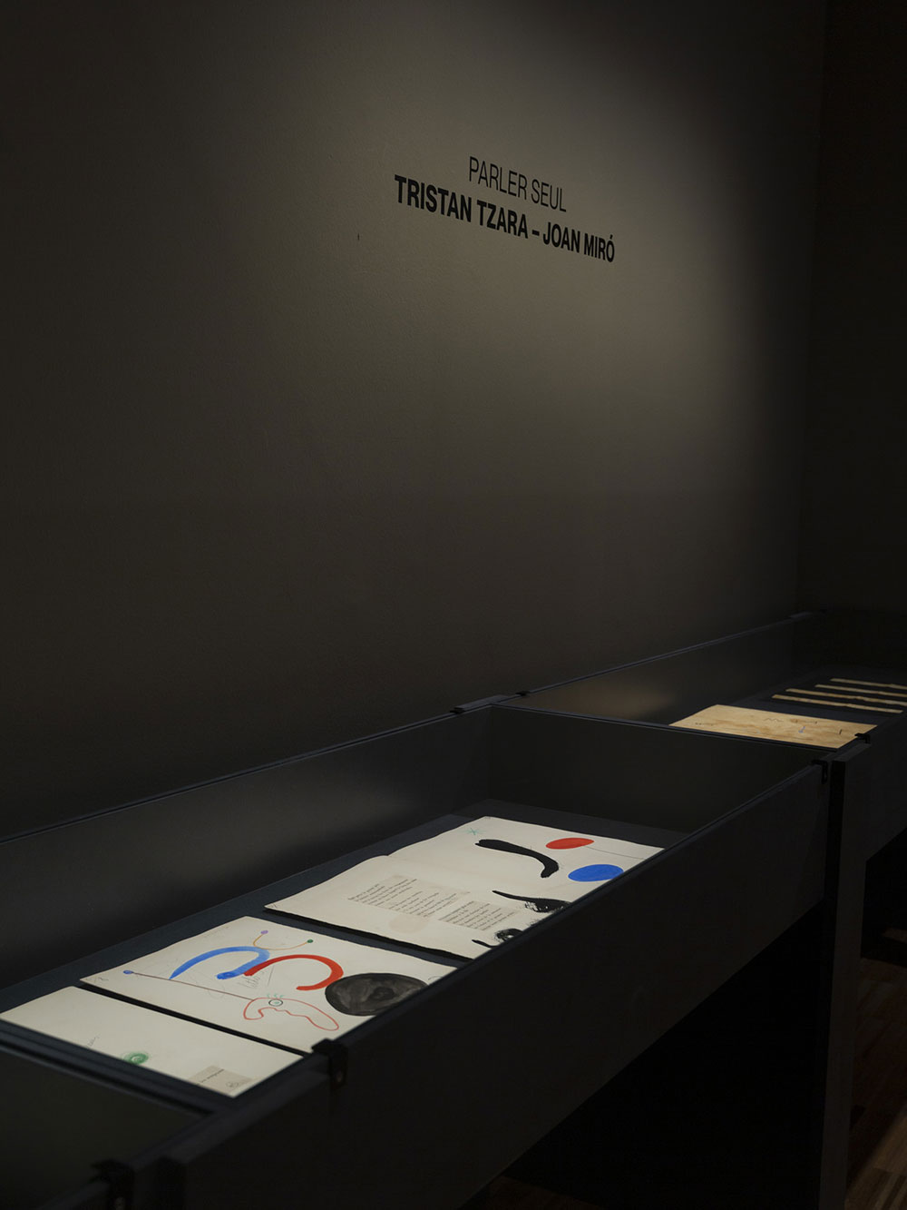 TOSQUELLES – emiliana design studio-15