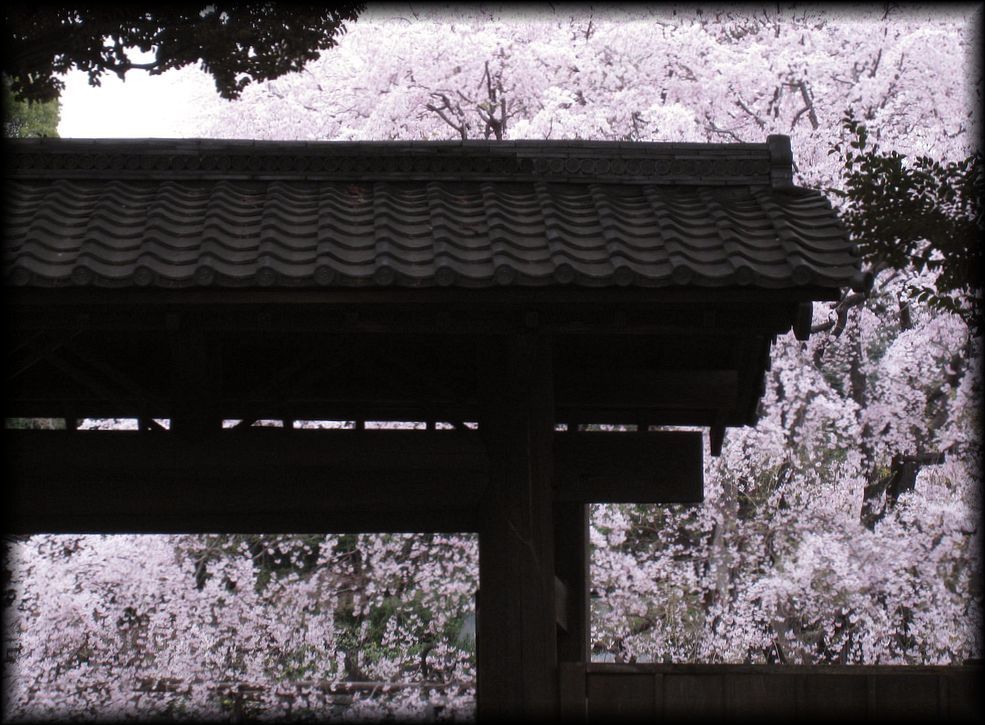 六义园丨日本京都-37