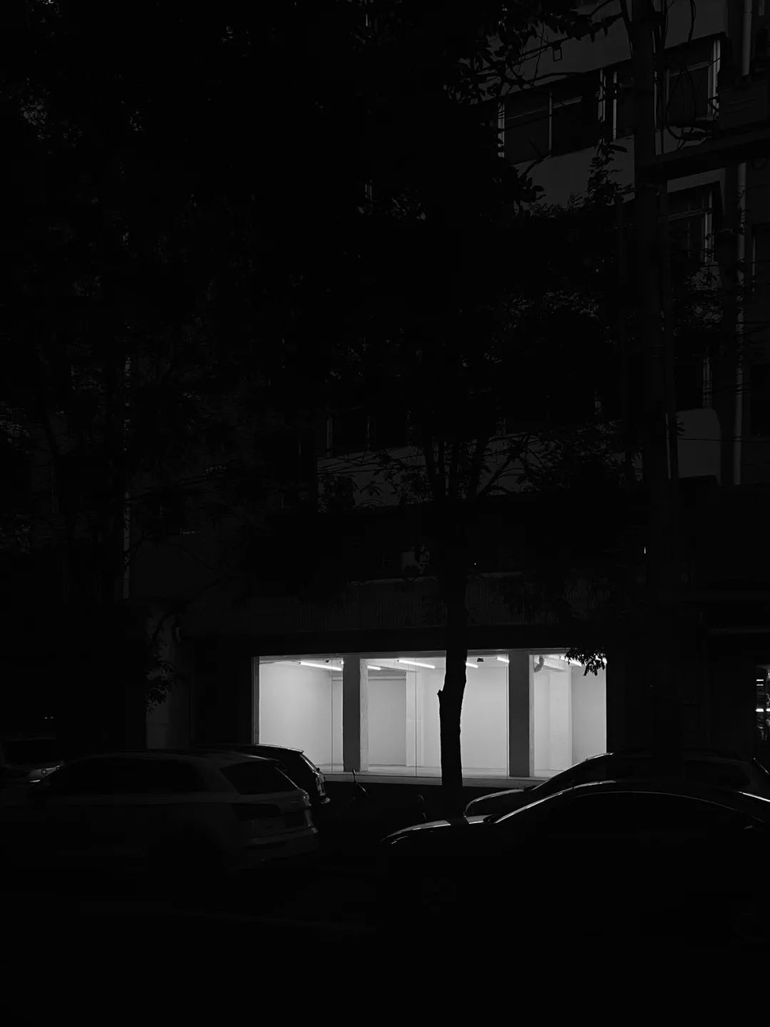 白菜与雪 · 东北设计的风华绝代丨白菜设计-20