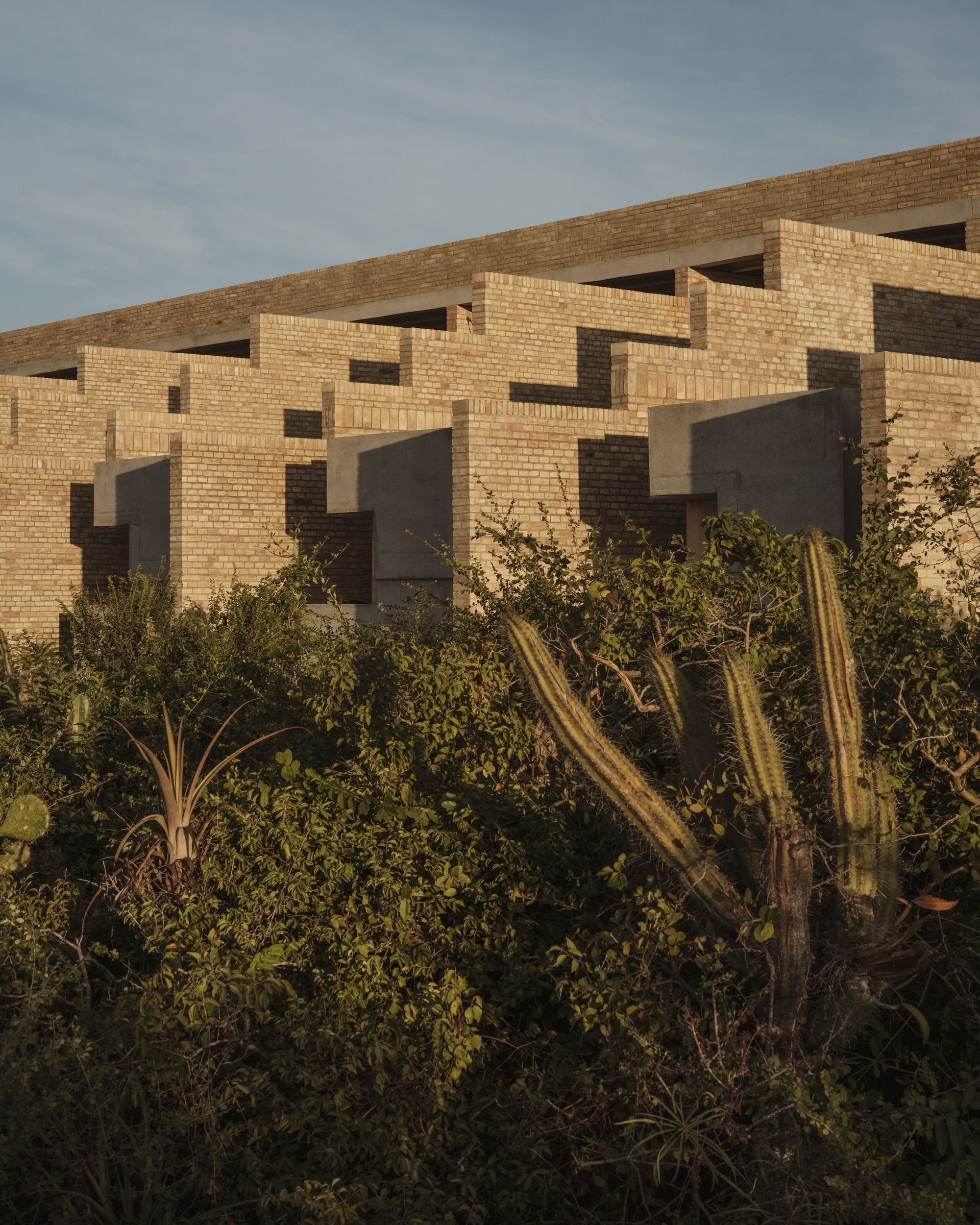 陆地酒店丨墨西哥瓦哈卡-19