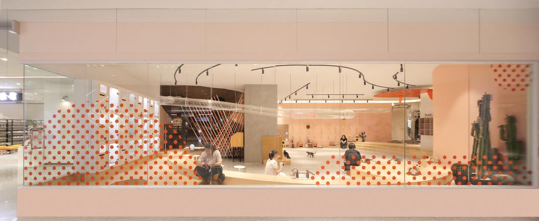 喵星人入侵 · 猫咪共享空间丨中国青岛丨黄士华-6